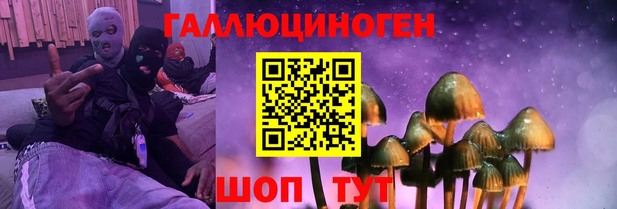 Людиново  Псилоцибиновые грибы прущие грибы  Галлюциногенные грибы GOLDEN TEACHER  Вход с VPN 